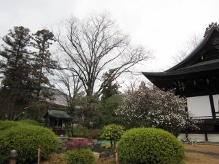 s-廣隆寺